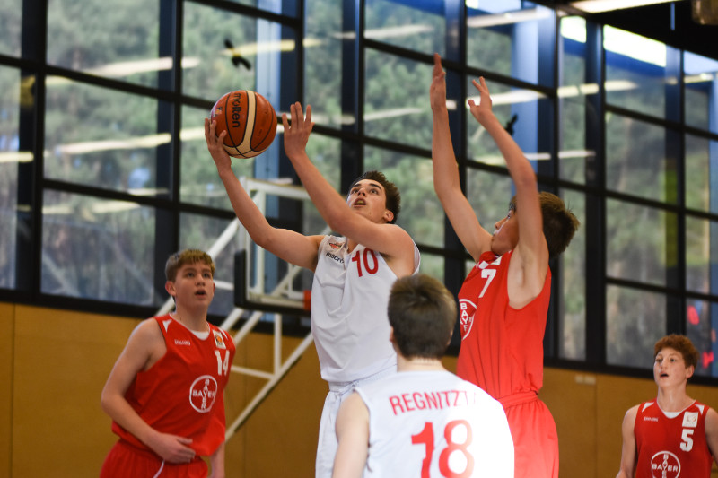 Copyright bei den Brose Bamberg Youngsters – Lina Ahlf